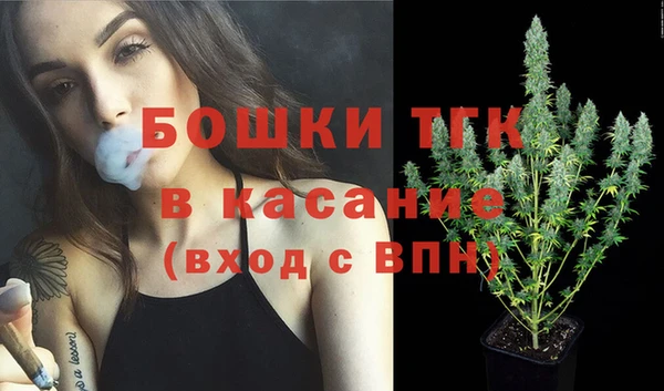 ПСИЛОЦИБИНОВЫЕ ГРИБЫ Нижний Тагил