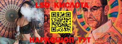 шишки Бийск