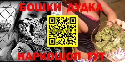 шишки Бийск