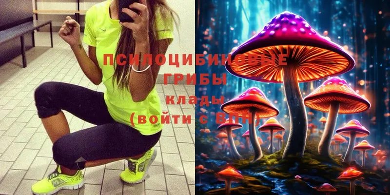 Псилоцибиновые грибы Magic Shrooms  MEGA зеркало  Ульяновск 