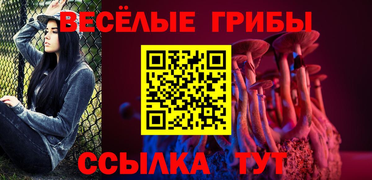Псилоцибиновые грибы Psilocybe  Псилоцибиновые грибы ЛСД  Ульяновск  Вход с VPN 