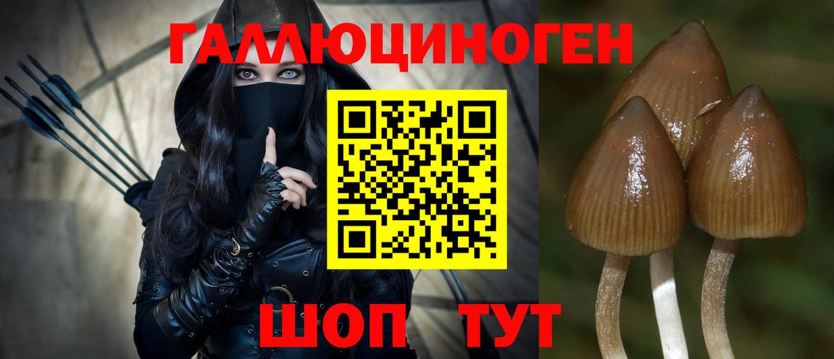 Галлюциногенные грибы мицелий  дарнет шоп  Ульяновск 
